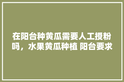 在阳台种黄瓜需要人工授粉吗，水果黄瓜种植 阳台要求高吗。 在阳台种黄瓜需要人工授粉吗，水果黄瓜种植 阳台要求高吗。 畜牧养殖