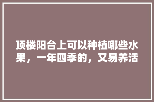 顶楼阳台上可以种植哪些水果，一年四季的，又易养活的，怎么种植高端水果苗。 顶楼阳台上可以种植哪些水果，一年四季的，又易养活的，怎么种植高端水果苗。 土壤施肥