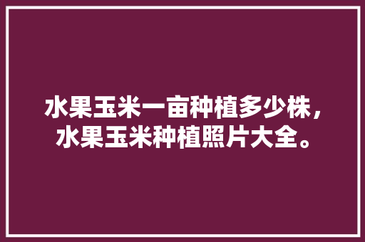 水果玉米一亩种植多少株，水果玉米种植照片大全。 水果玉米一亩种植多少株，水果玉米种植照片大全。 畜牧养殖