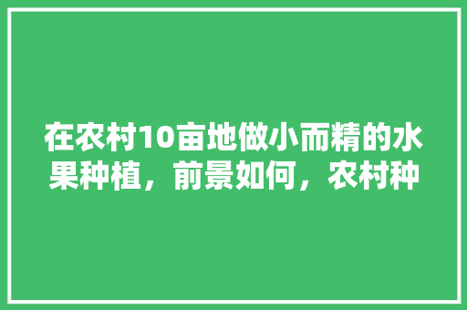 在农村10亩地做小而精的水果种植，前景如何，农村种植水果的作用和意义。 在农村10亩地做小而精的水果种植，前景如何，农村种植水果的作用和意义。 土壤施肥