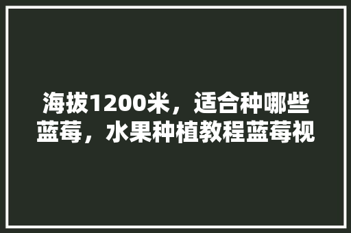 海拔1200米，适合种哪些蓝莓，水果种植教程蓝莓视频大全。 海拔1200米，适合种哪些蓝莓，水果种植教程蓝莓视频大全。 蔬菜种植