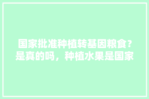 国家批准种植转基因粮食？是真的吗，种植水果是国家批准的吗为什么。 国家批准种植转基因粮食？是真的吗，种植水果是国家批准的吗为什么。 畜牧养殖