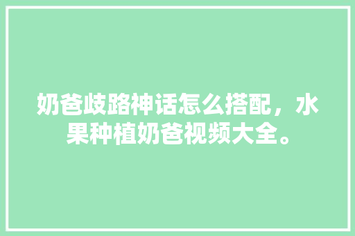 奶爸歧路神话怎么搭配，水果种植奶爸视频大全。 畜牧养殖