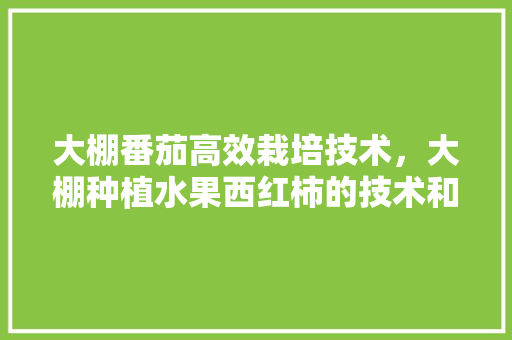 大棚番茄高效栽培技术，大棚种植水果西红柿的技术和方法视频。 大棚番茄高效栽培技术，大棚种植水果西红柿的技术和方法视频。 家禽养殖