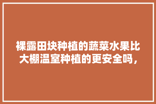 裸露田块种植的蔬菜水果比大棚温室种植的更安全吗，哪种水果种植破坏环境最多。 裸露田块种植的蔬菜水果比大棚温室种植的更安全吗，哪种水果种植破坏环境最多。 土壤施肥