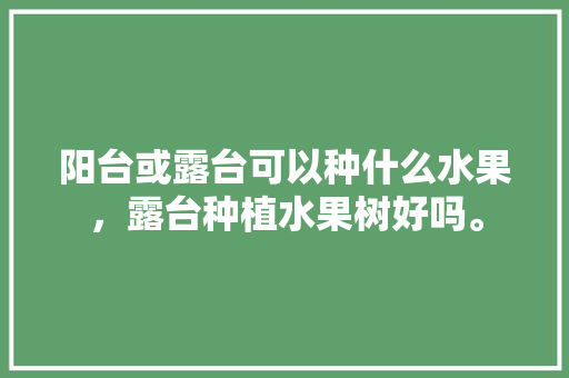 阳台或露台可以种什么水果，露台种植水果树好吗。 阳台或露台可以种什么水果，露台种植水果树好吗。 土壤施肥