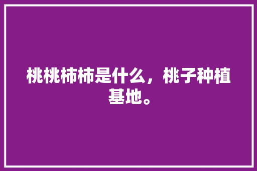 桃桃柿柿是什么，桃子种植基地。 桃桃柿柿是什么，桃子种植基地。 蔬菜种植