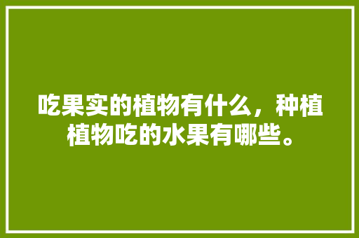 吃果实的植物有什么，种植植物吃的水果有哪些。 吃果实的植物有什么，种植植物吃的水果有哪些。 水果种植