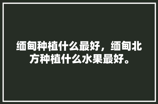 缅甸种植什么最好，缅甸北方种植什么水果最好。 缅甸种植什么最好，缅甸北方种植什么水果最好。 土壤施肥