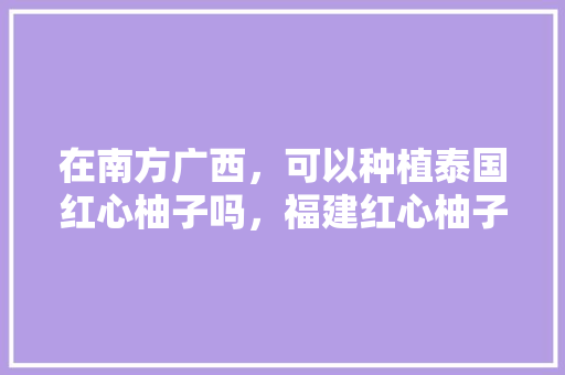 在南方广西，可以种植泰国红心柚子吗，福建红心柚子水果种植基地。 在南方广西，可以种植泰国红心柚子吗，福建红心柚子水果种植基地。 蔬菜种植