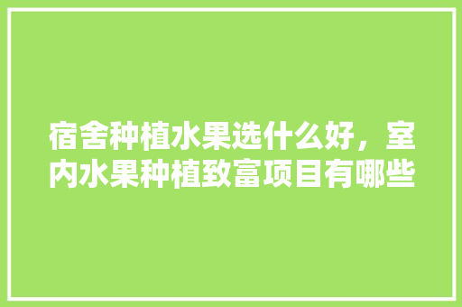 宿舍种植水果选什么好，室内水果种植致富项目有哪些。 宿舍种植水果选什么好，室内水果种植致富项目有哪些。 蔬菜种植