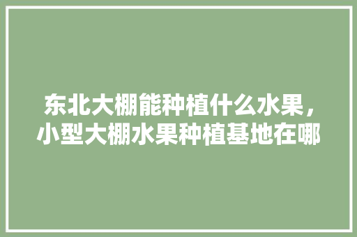 东北大棚能种植什么水果，小型大棚水果种植基地在哪里。 东北大棚能种植什么水果，小型大棚水果种植基地在哪里。 家禽养殖