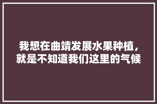 我想在曲靖发展水果种植，就是不知道我们这里的气候条件适合种什么样的水果啊，曲靖有哪些水果种植基地地址。 我想在曲靖发展水果种植，就是不知道我们这里的气候条件适合种什么样的水果啊，曲靖有哪些水果种植基地地址。 蔬菜种植