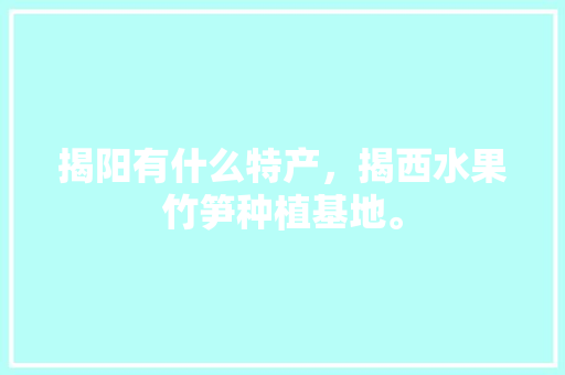 揭阳有什么特产，揭西水果竹笋种植基地。 揭阳有什么特产，揭西水果竹笋种植基地。 水果种植