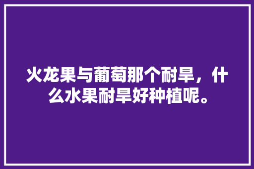 火龙果与葡萄那个耐旱，什么水果耐旱好种植呢。 火龙果与葡萄那个耐旱，什么水果耐旱好种植呢。 蔬菜种植