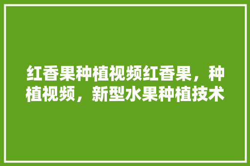 红香果种植视频红香果，种植视频，新型水果种植技术视频讲解。 红香果种植视频红香果，种植视频，新型水果种植技术视频讲解。 水果种植