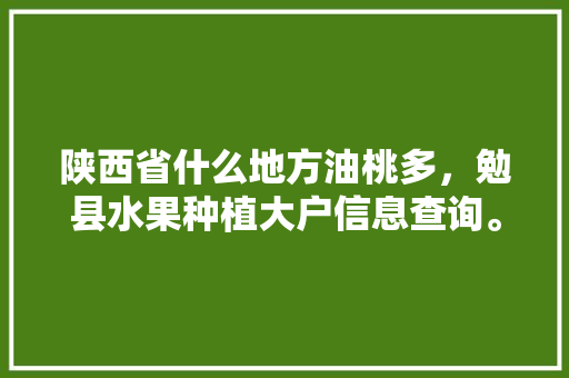 陕西省什么地方油桃多，勉县水果种植大户信息查询。 陕西省什么地方油桃多，勉县水果种植大户信息查询。 水果种植