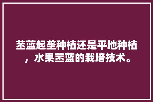 苤蓝起垄种植还是平地种植，水果苤蓝的栽培技术。 苤蓝起垄种植还是平地种植，水果苤蓝的栽培技术。 水果种植