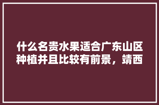 什么名贵水果适合广东山区种植并且比较有前景，靖西水果推荐种植基地。 什么名贵水果适合广东山区种植并且比较有前景，靖西水果推荐种植基地。 蔬菜种植