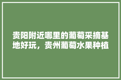 贵阳附近哪里的葡萄采摘基地好玩，贵州葡萄水果种植基地在哪里。 贵阳附近哪里的葡萄采摘基地好玩，贵州葡萄水果种植基地在哪里。 蔬菜种植