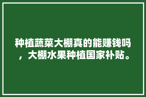 种植蔬菜大棚真的能赚钱吗，大棚水果种植国家补贴。 种植蔬菜大棚真的能赚钱吗，大棚水果种植国家补贴。 土壤施肥