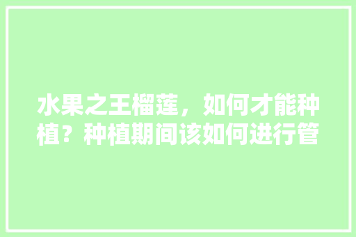 水果之王榴莲，如何才能种植？种植期间该如何进行管理，水果王种植技术视频教程。 水果之王榴莲，如何才能种植？种植期间该如何进行管理，水果王种植技术视频教程。 蔬菜种植