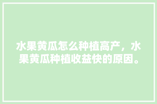 水果黄瓜怎么种植高产，水果黄瓜种植收益快的原因。 水果黄瓜怎么种植高产，水果黄瓜种植收益快的原因。 蔬菜种植