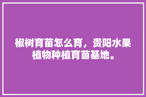 椒树育苗怎么育，贵阳水果植物种植育苗基地。 椒树育苗怎么育，贵阳水果植物种植育苗基地。 蔬菜种植