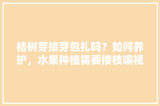 桔树芽接芽包扎吗？如何养护，水果种植需要接枝嘛视频。 桔树芽接芽包扎吗？如何养护，水果种植需要接枝嘛视频。 家禽养殖