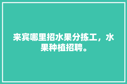 来宾哪里招水果分拣工，水果种植招聘。 来宾哪里招水果分拣工，水果种植招聘。 家禽养殖