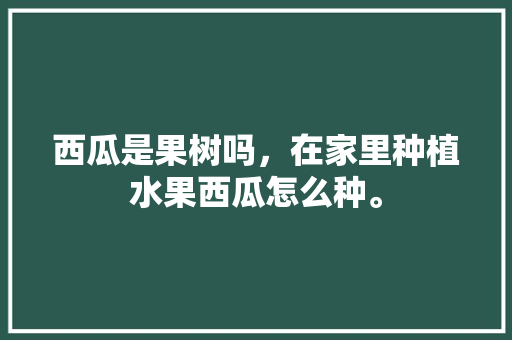 西瓜是果树吗，在家里种植水果西瓜怎么种。 西瓜是果树吗，在家里种植水果西瓜怎么种。 畜牧养殖