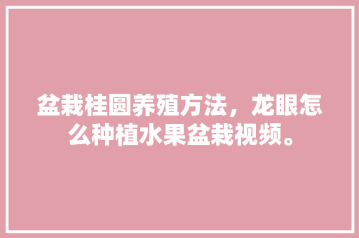 盆栽桂圆养殖方法，龙眼怎么种植水果盆栽视频。 盆栽桂圆养殖方法，龙眼怎么种植水果盆栽视频。 蔬菜种植