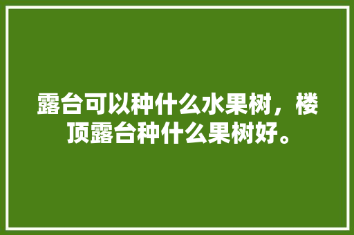 露台可以种什么水果树，楼顶露台种什么果树好。 露台可以种什么水果树，楼顶露台种什么果树好。 蔬菜种植