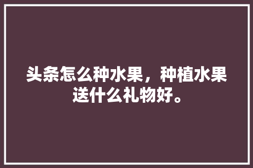 头条怎么种水果，种植水果送什么礼物好。 头条怎么种水果，种植水果送什么礼物好。 蔬菜种植