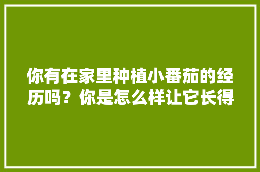 你有在家里种植小番茄的经历吗？你是怎么样让它长得更好的，种植水果番茄做法图片大全。 你有在家里种植小番茄的经历吗？你是怎么样让它长得更好的，种植水果番茄做法图片大全。 蔬菜种植