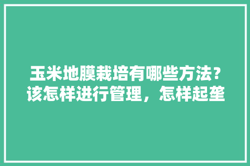 玉米地膜栽培有哪些方法？该怎样进行管理，怎样起垄种植水果呢。 玉米地膜栽培有哪些方法？该怎样进行管理，怎样起垄种植水果呢。 家禽养殖