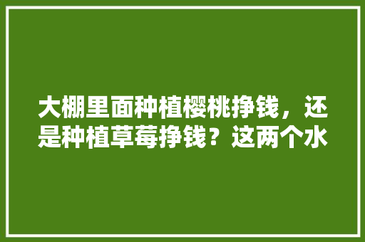 大棚里面种植樱桃挣钱，还是种植草莓挣钱？这两个水果哪个效益高，大棚水果种植技术。 大棚里面种植樱桃挣钱，还是种植草莓挣钱？这两个水果哪个效益高，大棚水果种植技术。 畜牧养殖