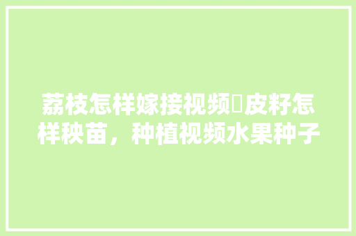 荔枝怎样嫁接视频黃皮籽怎样秧苗，种植视频水果种子教程全集。 荔枝怎样嫁接视频黃皮籽怎样秧苗，种植视频水果种子教程全集。 蔬菜种植