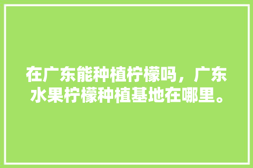 在广东能种植柠檬吗，广东水果柠檬种植基地在哪里。 在广东能种植柠檬吗，广东水果柠檬种植基地在哪里。 水果种植