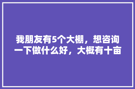 我朋友有5个大棚，想咨询一下做什么好，大概有十亩地的样子，如何做现代化的大棚，大棚水果种植区域。 我朋友有5个大棚，想咨询一下做什么好，大概有十亩地的样子，如何做现代化的大棚，大棚水果种植区域。 土壤施肥