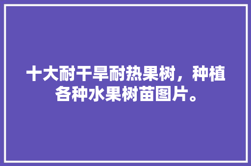 十大耐干旱耐热果树，种植各种水果树苗图片。 十大耐干旱耐热果树，种植各种水果树苗图片。 土壤施肥