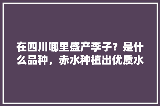 在四川哪里盛产李子？是什么品种，赤水种植出优质水果的地方。 在四川哪里盛产李子？是什么品种，赤水种植出优质水果的地方。 水果种植