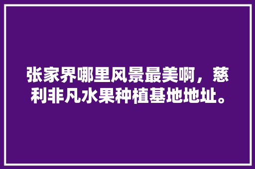 张家界哪里风景最美啊，慈利非凡水果种植基地地址。 张家界哪里风景最美啊，慈利非凡水果种植基地地址。 土壤施肥