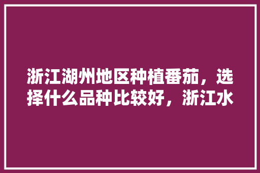 浙江湖州地区种植番茄，选择什么品种比较好，浙江水果蕃茄种植基地。 浙江湖州地区种植番茄，选择什么品种比较好，浙江水果蕃茄种植基地。 土壤施肥