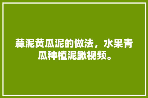 蒜泥黄瓜泥的做法，水果青瓜种植泥鳅视频。 蒜泥黄瓜泥的做法，水果青瓜种植泥鳅视频。 家禽养殖