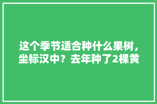 这个季节适合种什么果树，坐标汉中？去年种了2棵黄桃树，汉中地区种植什么水果最多。 这个季节适合种什么果树，坐标汉中？去年种了2棵黄桃树，汉中地区种植什么水果最多。 家禽养殖