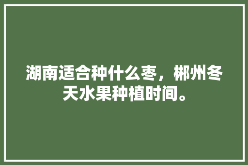 湖南适合种什么枣，郴州冬天水果种植时间。 湖南适合种什么枣，郴州冬天水果种植时间。 土壤施肥