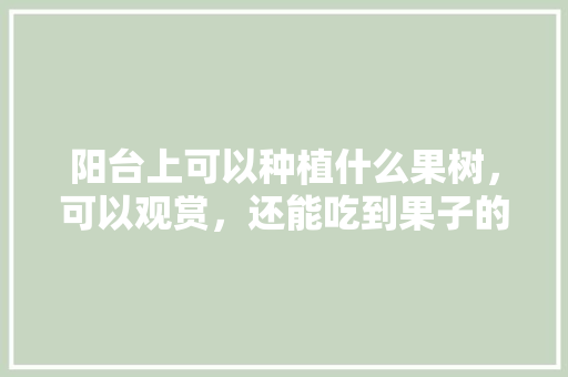 阳台上可以种植什么果树，可以观赏，还能吃到果子的，阳台种植稀有水果有哪些。 阳台上可以种植什么果树，可以观赏，还能吃到果子的，阳台种植稀有水果有哪些。 畜牧养殖