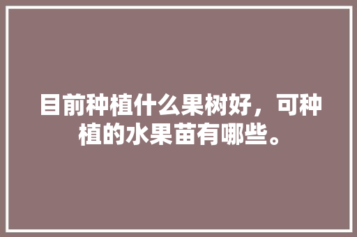 目前种植什么果树好，可种植的水果苗有哪些。 目前种植什么果树好，可种植的水果苗有哪些。 土壤施肥