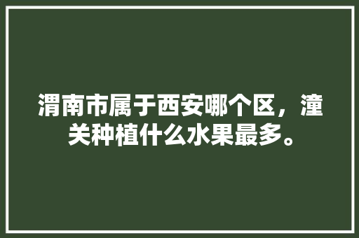 渭南市属于西安哪个区，潼关种植什么水果最多。 渭南市属于西安哪个区，潼关种植什么水果最多。 土壤施肥